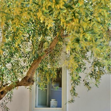 דירות הידרה Douskos Beach House מראה חיצוני תמונה