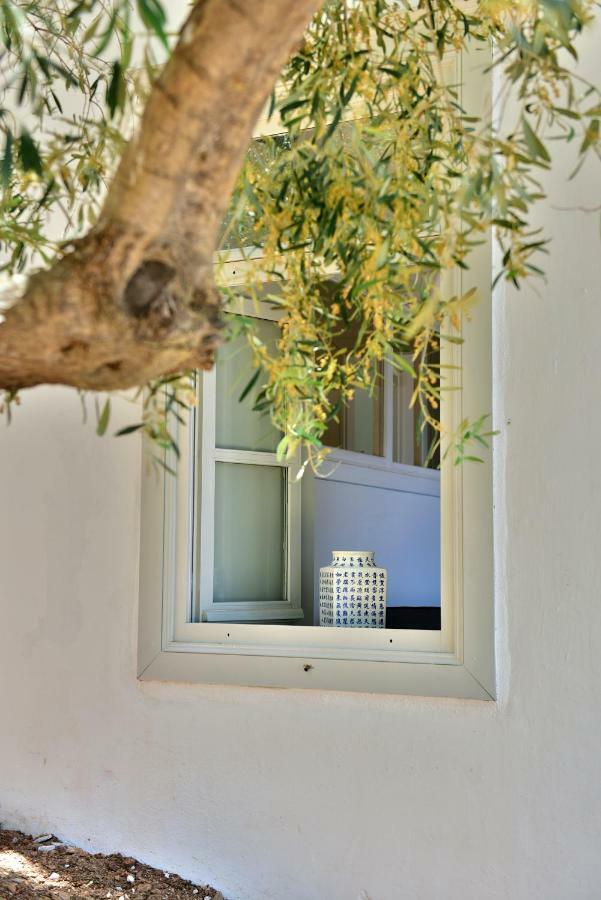 דירות הידרה Douskos Beach House מראה חיצוני תמונה